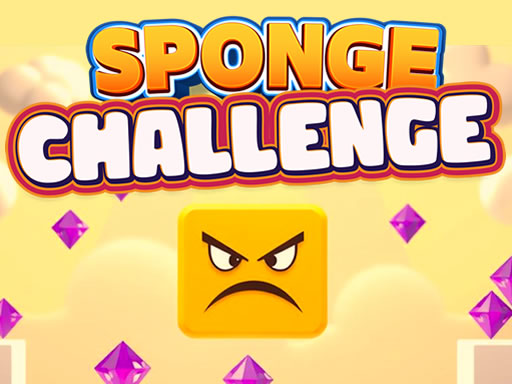 Sponge Challenge